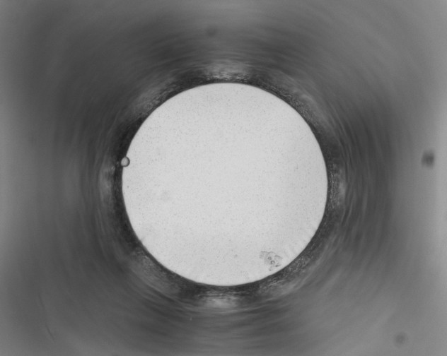 X0000116640263201001251142