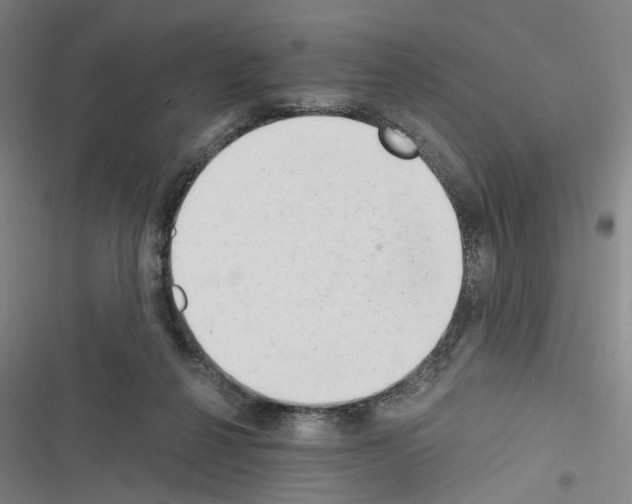 X0000116640264201001251142