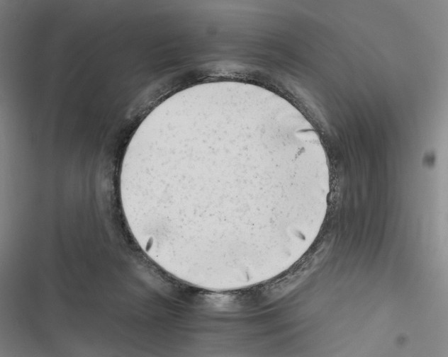 X0000116640265201001251142