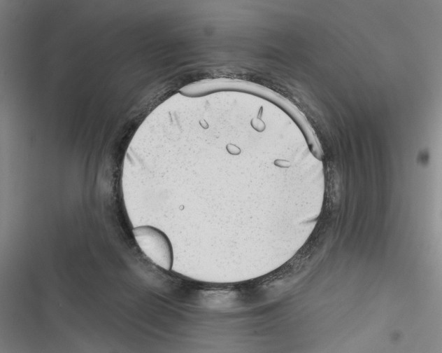 X0000116640266201001251142