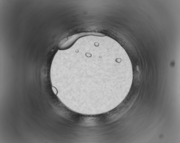 X0000116640268201001251142