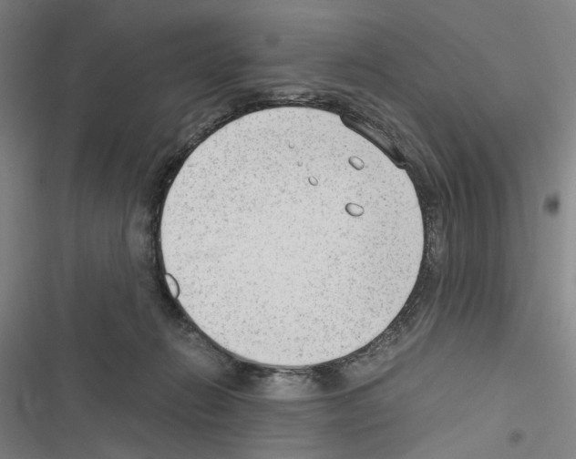 X0000116640270201001251142