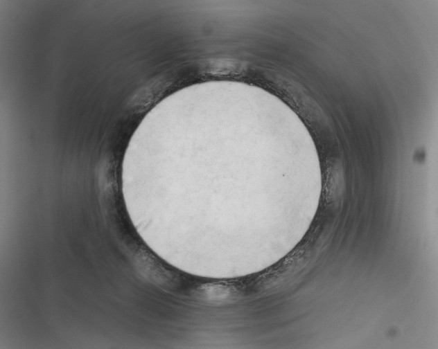 X0000116640272201001251142