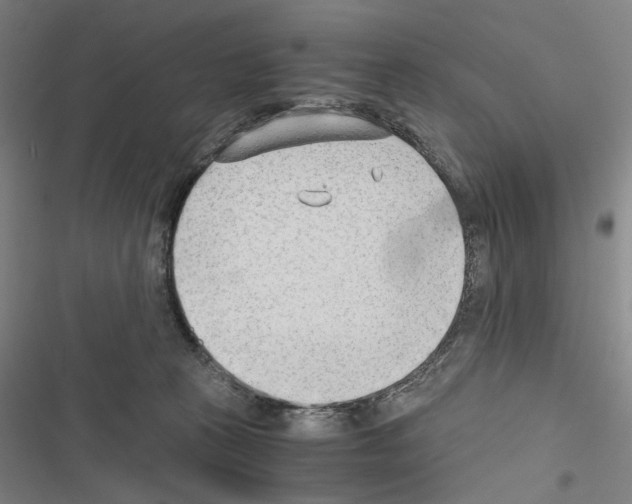 X0000116640273201001251142