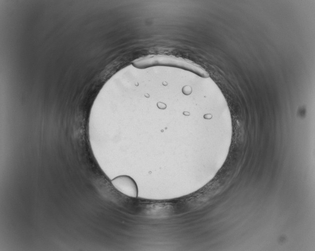 X0000116640274201001251142