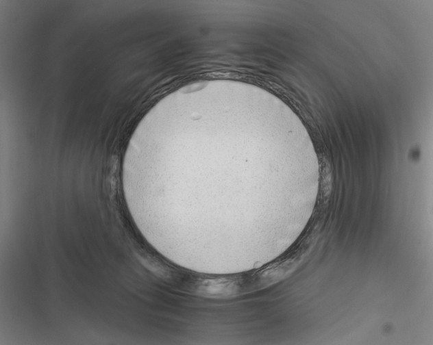 X0000116640275201001251142