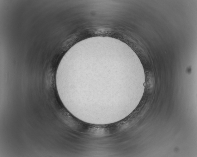 X0000116640276201001251142