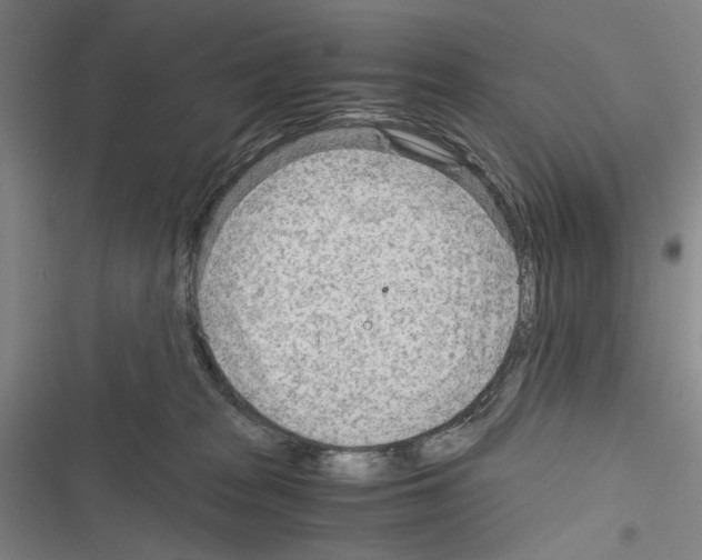 X0000116640277201001251142