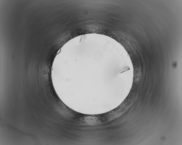 X0000116640279201001251142