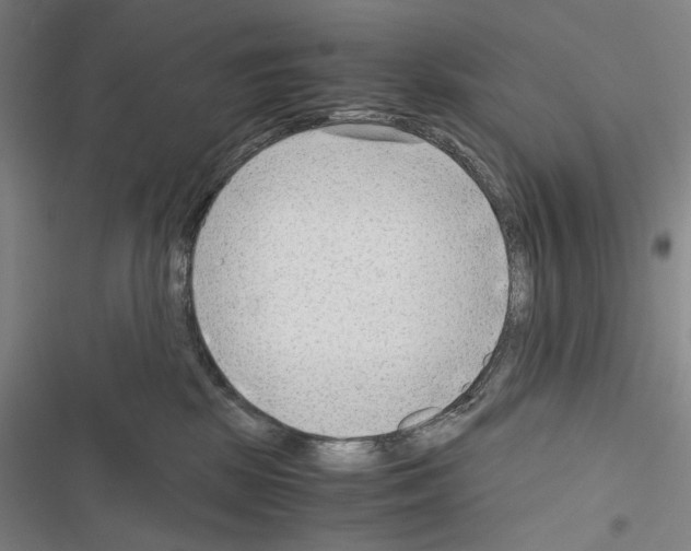 X0000116640281201001251142