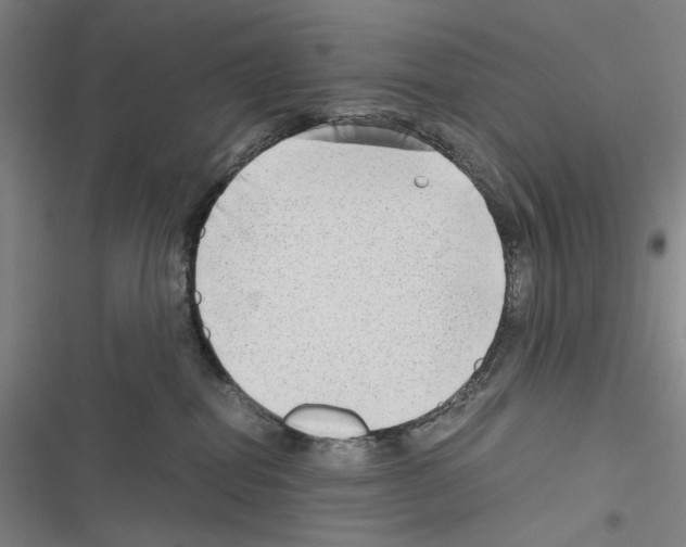 X0000116640282201001251142