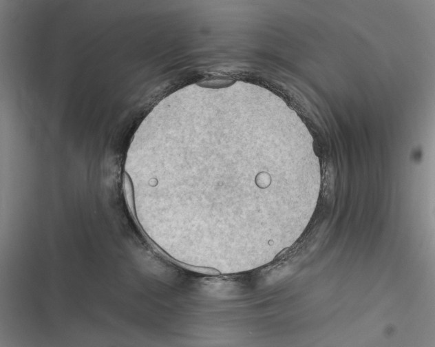 X0000116640284201001251142