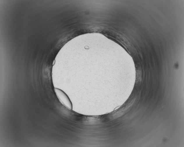 X0000116640286201001251142