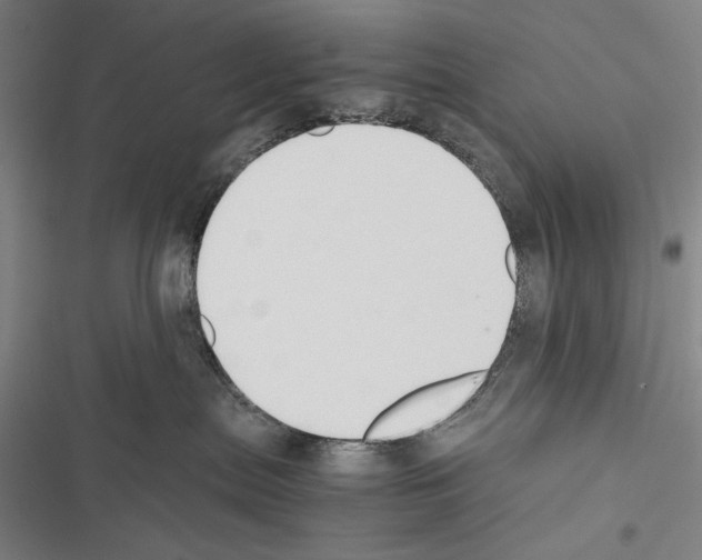 X0000116640287201001251142