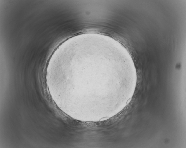 X0000116640289201001251142