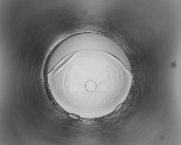 X0000116640292201001251142