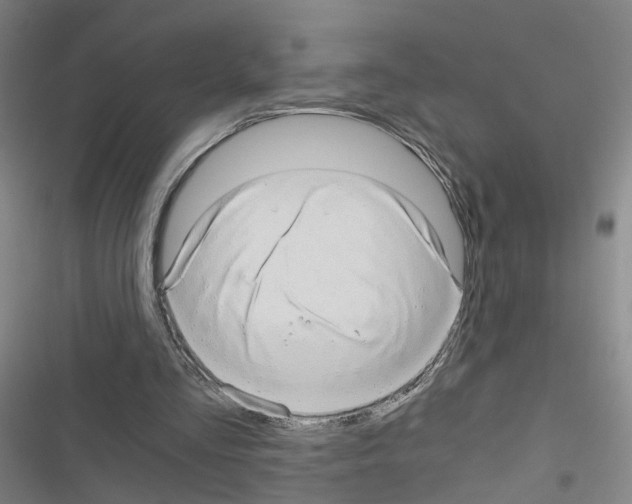 X0000116640293201001251142