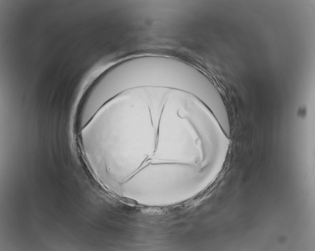 X0000116640294201001251142