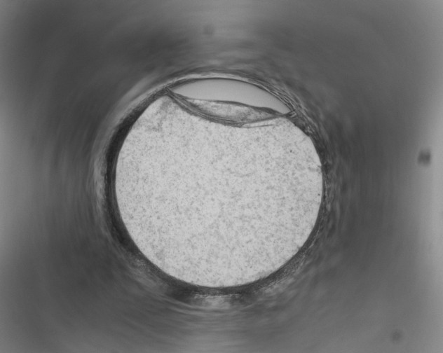 X0000116640295201001251141