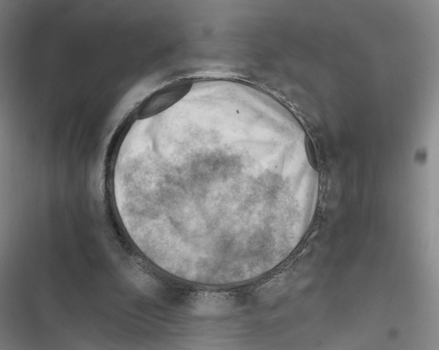 X0000116640296201001251141