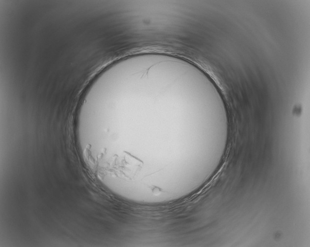 X0000116640297201001251141