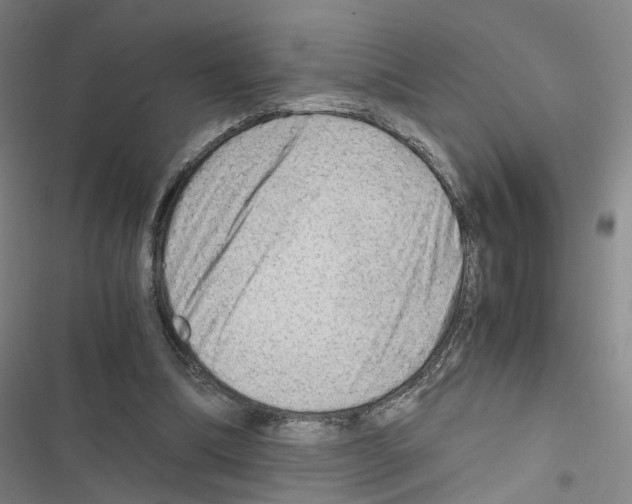 X0000116640298201001251141