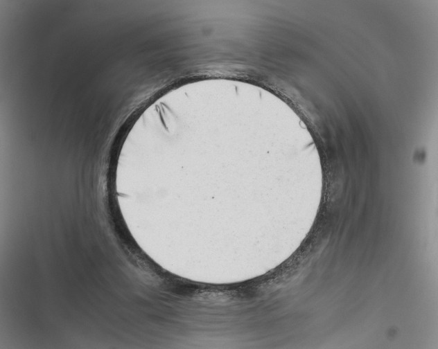 X0000116640299201001251141