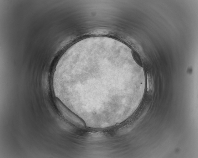 X0000116640300201001251141