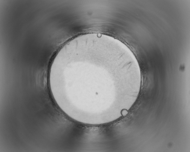 X0000116640301201001251141