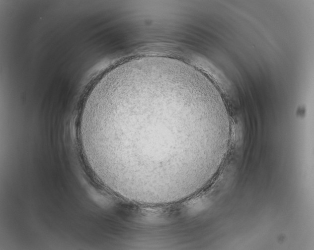 X0000116640302201001251141