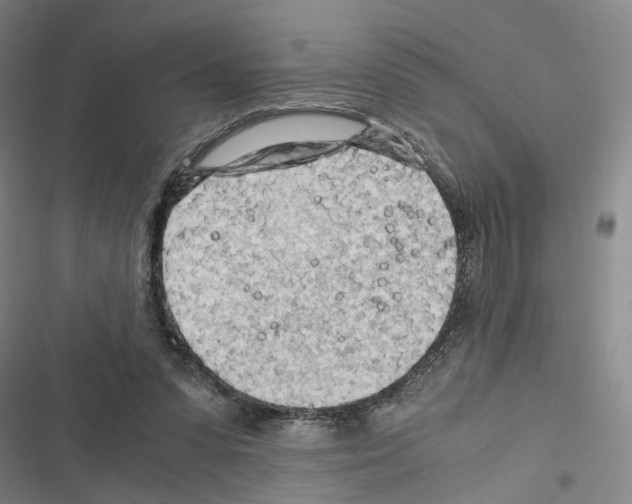 X0000116640303201001251141