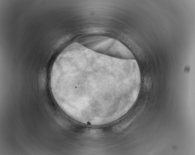 X0000116640304201001251141