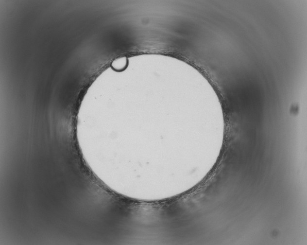 X0000116640305201001251141