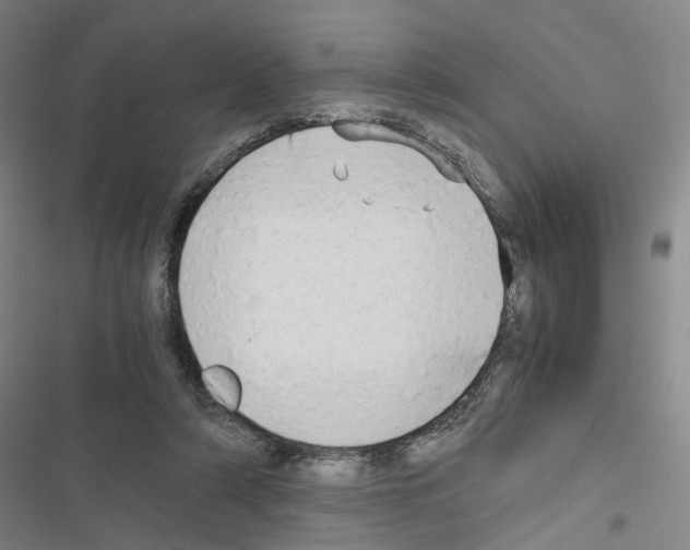 X0000116640306201001251141