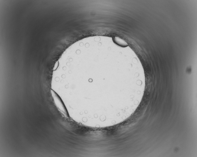 X0000116640307201001251141