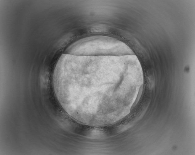 X0000116640308201001251141