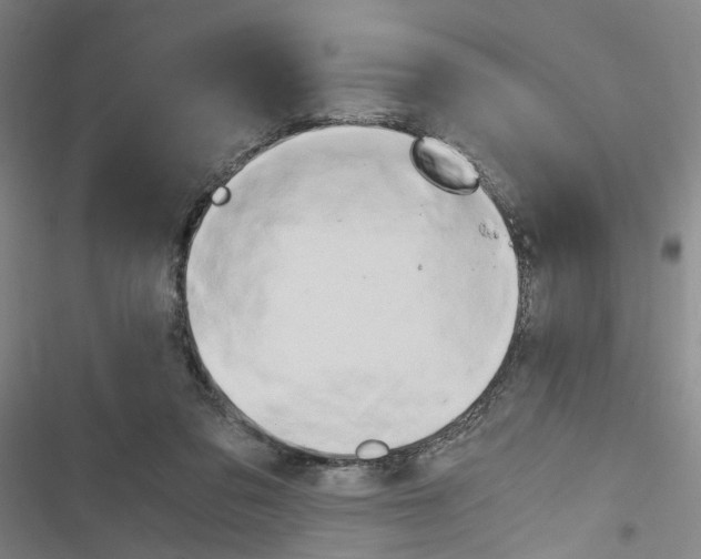 X0000116640309201001251141