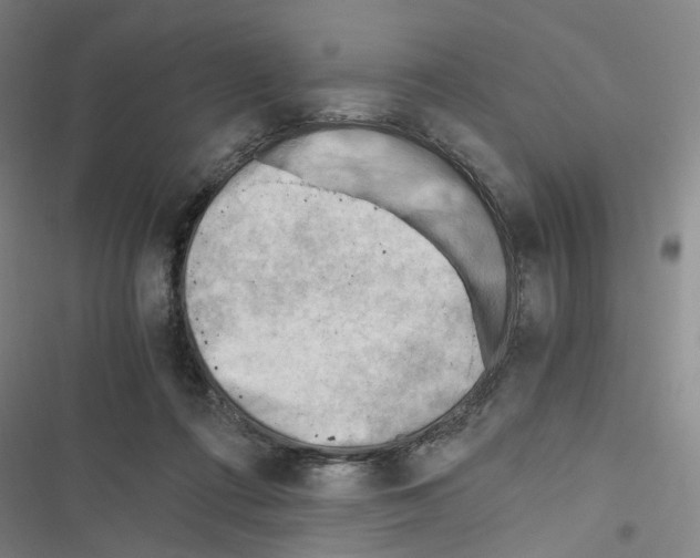 X0000116640312201001251141