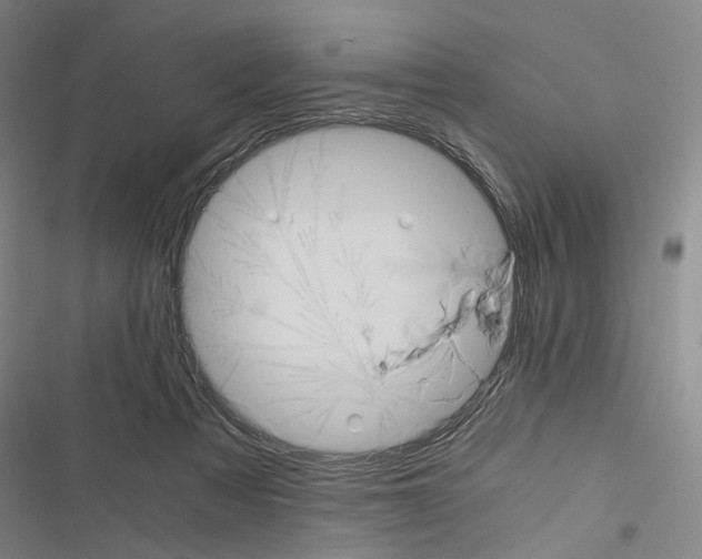 X0000116640313201001251141