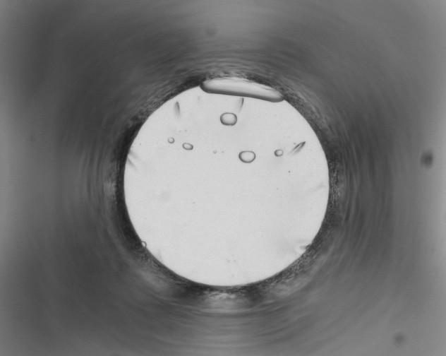 X0000116640315201001251141