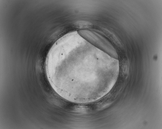 X0000116640316201001251141