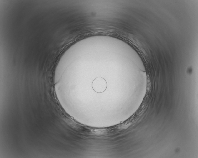 X0000116640317201001251141