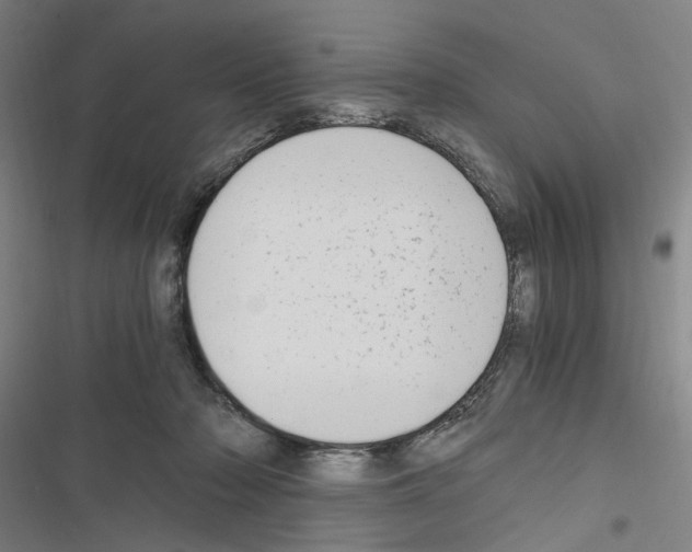 X0000116640318201001251141