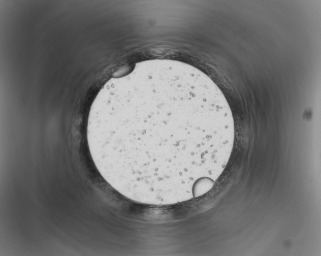 X0000116640319201001251141