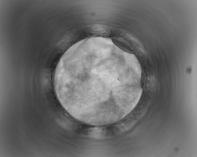 X0000116640320201001251141