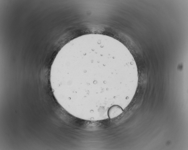 X0000116640321201001251141