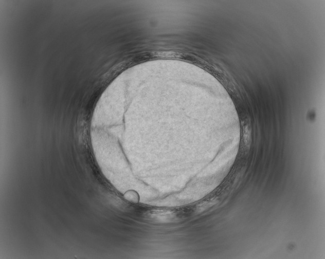 X0000116640322201001251141