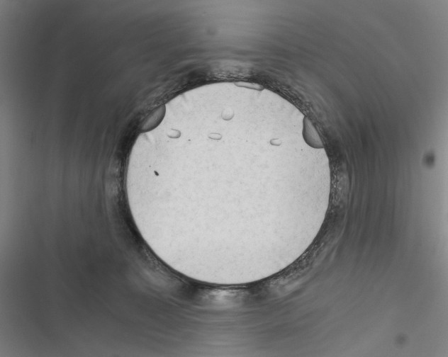 X0000116640323201001251141