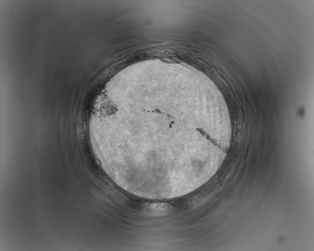 X0000116640324201001251141