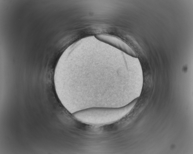 X0000116640325201001251141